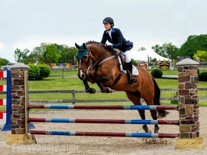 Faux pillars work perfectly for horse jumps.