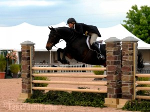 Horse jumps made with faux stone pillars are easier to adjust heights with.