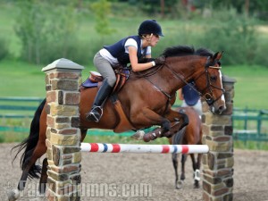 Horse jumps made with faux stone or brick columns are much safer for the horse and rider in cases of impact.
