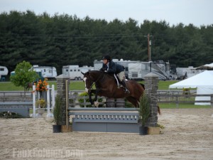 Polyurethane columns flank a competition horse jump.