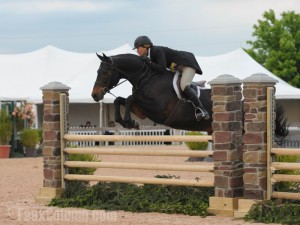 Horse jump designs made spectacular with faux stone columns.