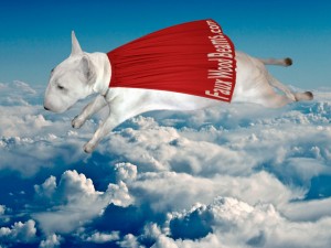 Duke, our lovable mascot, also doubles as a superhero on the weekends. :) Happy Holidays from Duke - official mascot of FauxWoodBeams.com