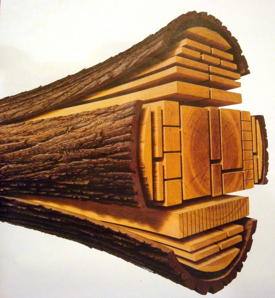 This photo from The Forestry Forum shows how timber beams are cut from lengths of wood.